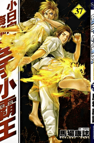 马场康志《空手小霸王》及续作两部曲高清电子漫画资源网盘打包下载[全47卷]已完结