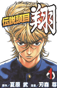 刃森尊漫画《传说头目翔》1-11卷高清完本PDF下载｜漫画赏析